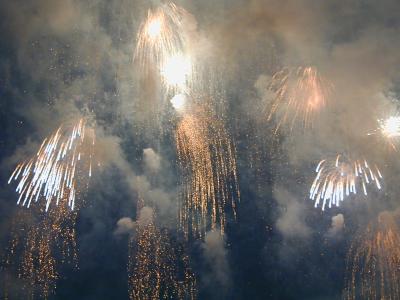 Weeping Willow Fireworks (7/4/05)
