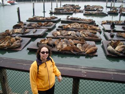 Sea Lions at Pier 39 (10/7/05)