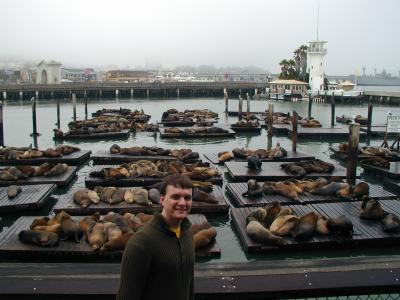 Sea Lions at Pier 39 (10/7/05)