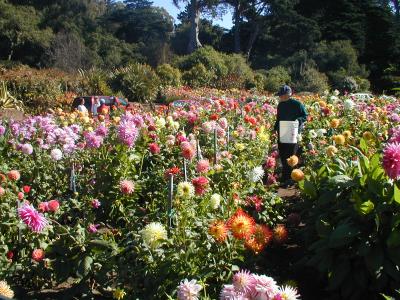 Conservatory of Flowers, Golden Gate Park (10/8/05)