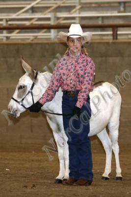 Class 1 NMDA Showmanship at Halter - Youth