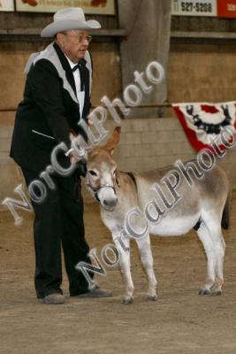 _MG_8299.jpg