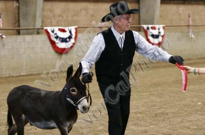 _MG_8456.jpg