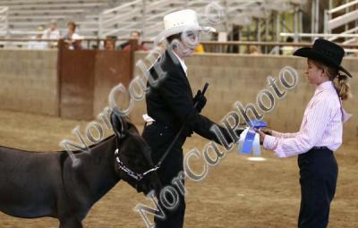 _MG_8458.jpg