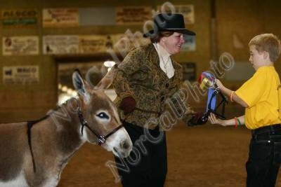 CLass 19 NMDA Champoin and Reserve Halter Jennet
