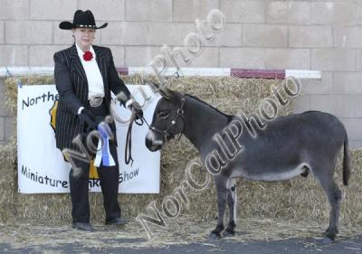IMG_6626m.jpg