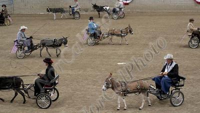 IMG_6786.jpg