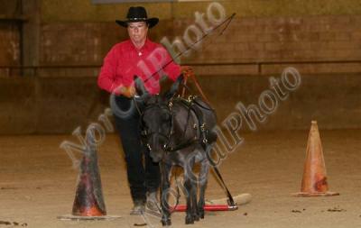 _MG_8676.jpg