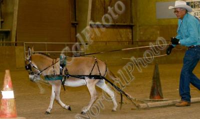 _MG_8680.jpg