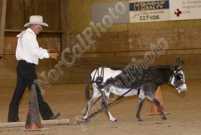 _MG_8700.jpg
