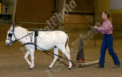 _MG_8706.jpg