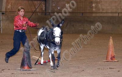 _MG_8708.jpg