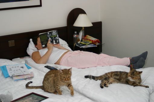 Sandra och katterna slappar p vrt rum