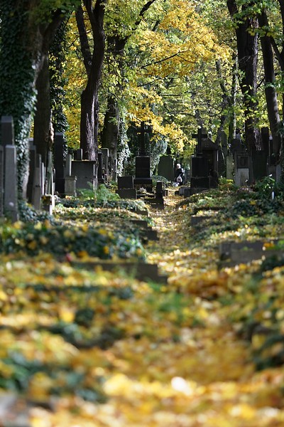 DE2B0690-1.jpg