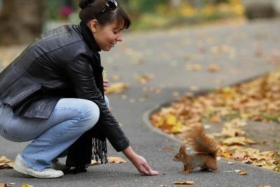 Squirrels