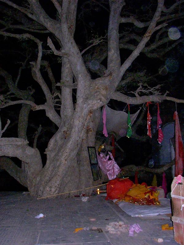 Gopika VastrAbaharanam at Yamuna river bed-2