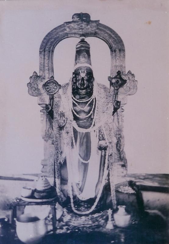 Kanchi Athi Varadar standing