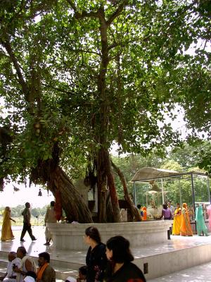 The place where our lord did Geethopadesam at Kurukshetra  where akanda Geetha parayanam goes on