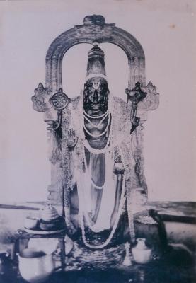 Kanchi Athi Varadar standing