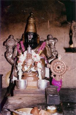 Kanchi Narasimhar