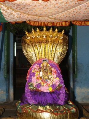 Yadugiri Nachiyar - Parthiba Navarathri uthsavam