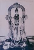 Kanchi Athi Varadar standing