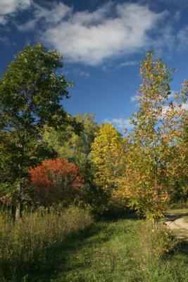 Pamerutka