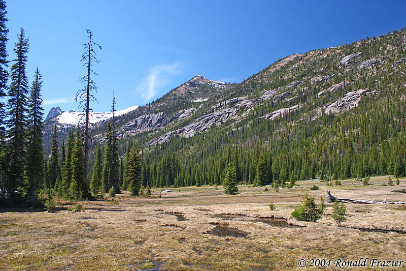 meadows at Washington Pass Overlook