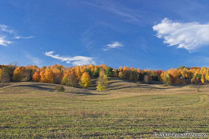 CRW_0772.jpg