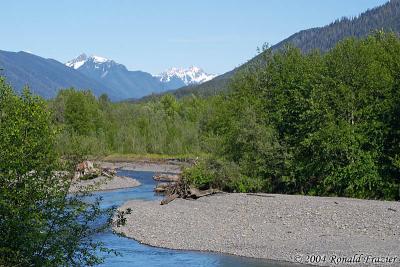 Heading into the Hoh Rain Forest