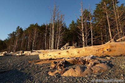 Rialto Beach