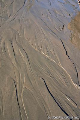 Strait of Juan de Fuca - Low Tide