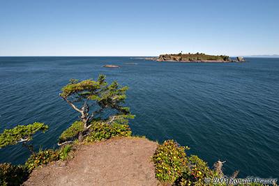 Cape Flattery