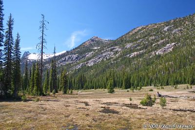meadows at Washington Pass Overlook
