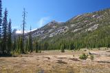 meadows at Washington Pass Overlook