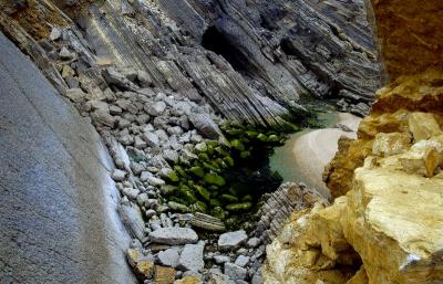 DSC_3855-12-06-05.jpg