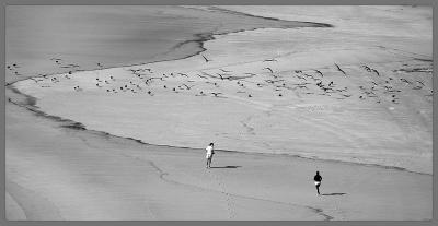 DSC_4531-02-10-05-Freedom.jpg