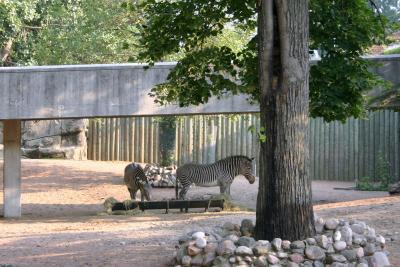 Lincoln Zoo