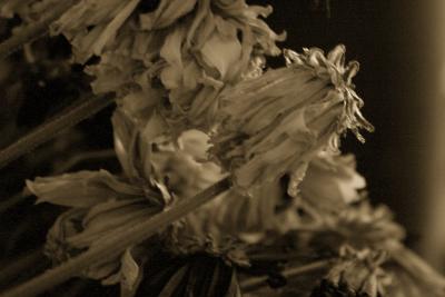 October 08, 2005