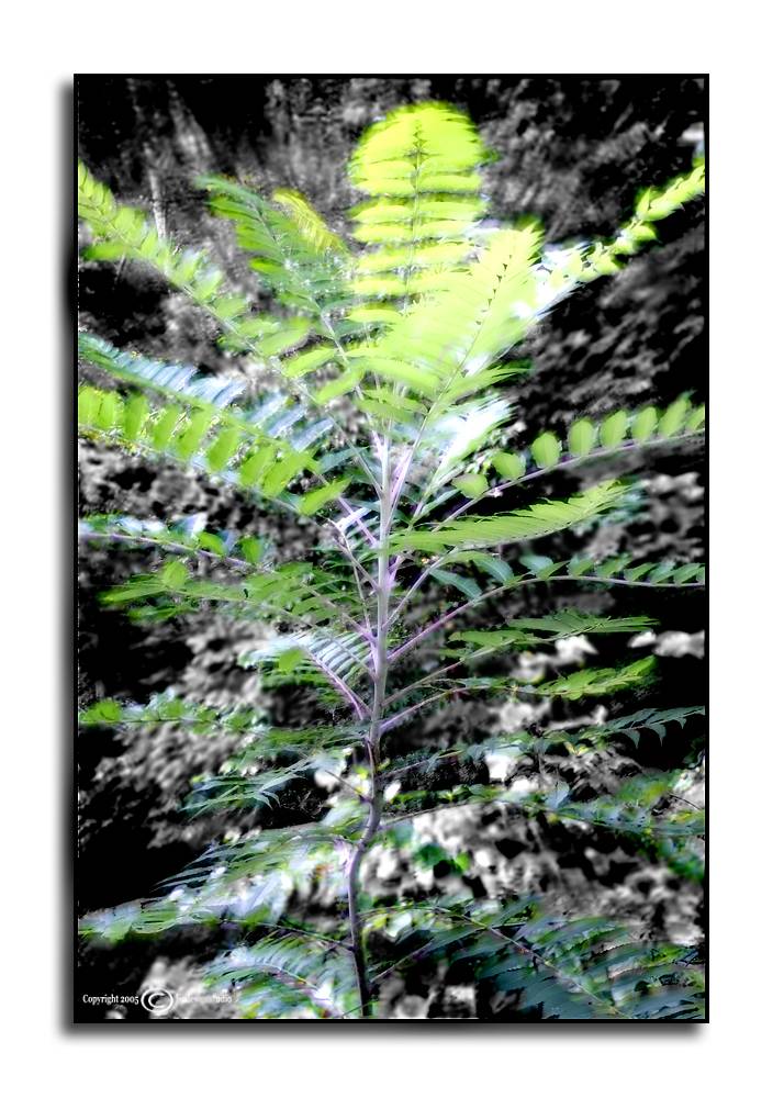 Just a Touch... <p> August 24