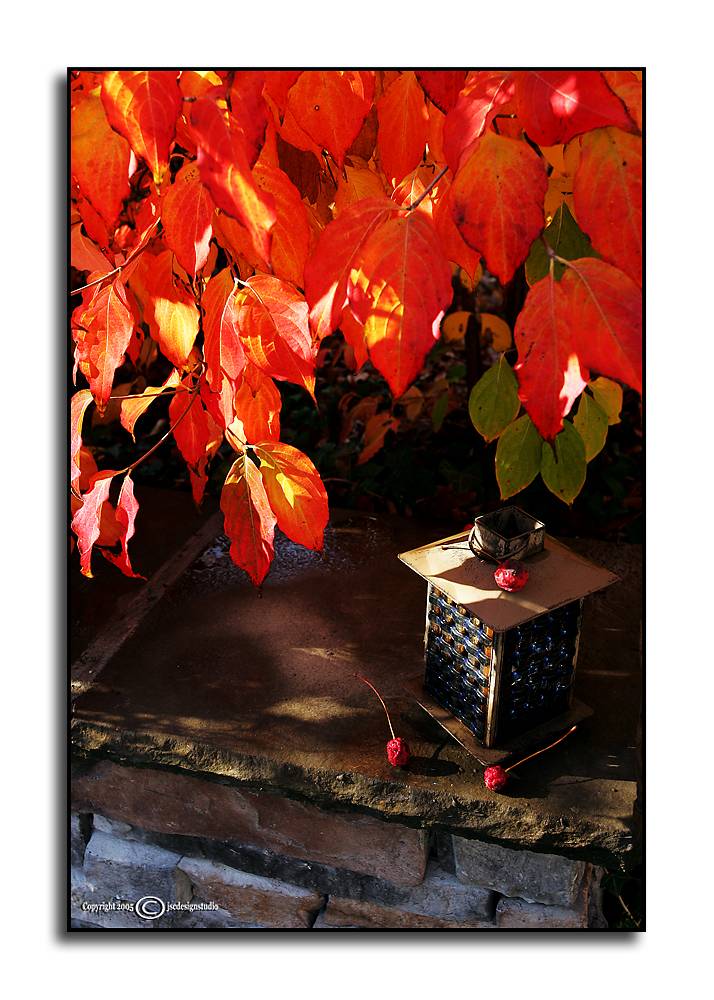 Lantern <p> November 6