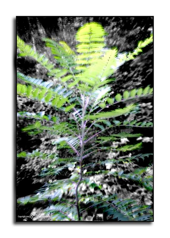 Just a Touch... <p> August 24