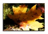 Soft Landing