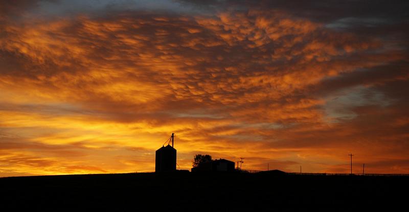 Sunrise at Grace Farms