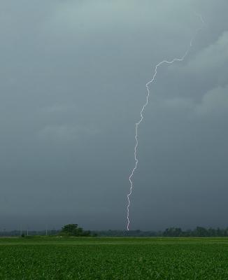 Lightning Strike Over Corn Field