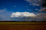 Cumulus Congestus Cloud over Albany
