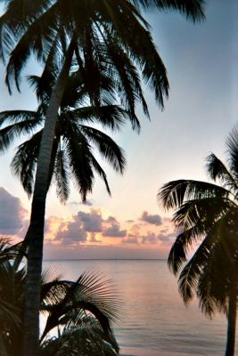 Ambergris Cayes in Morning