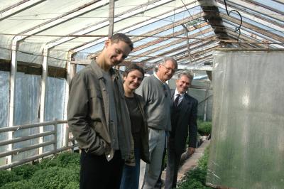 Algirdas' Greenhouse ** Algirdo iltnamis Kaune
