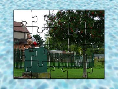 Joe Roberts Puzzle.jpg