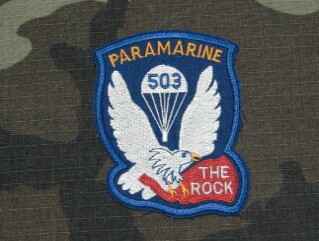 503rd Para